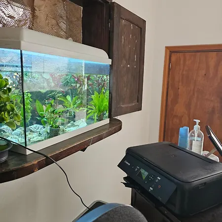 Affittacamere Blue Mango Surf House Center 3*