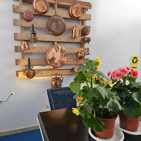 Blue Mango Surf House Center 3* פוארטו דל רוסריו