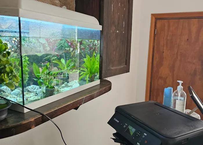 Pensionat Blue Mango Surf House Center 3*