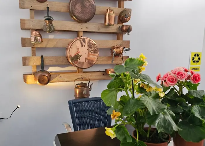 Blue Mango Surf House Center 3* Puerto del Rosario (Fuerteventura)