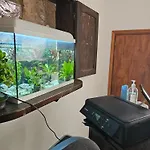 Guest house Blue Mango Surf House Center 3*