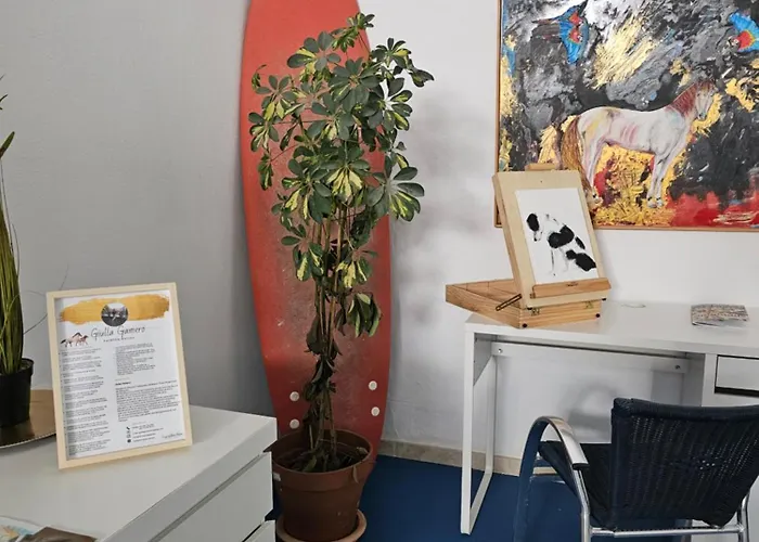 Blue Mango Surf House Center